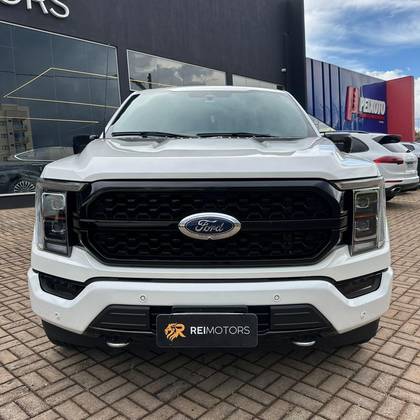 FORD F-150 5.0 V8 GASOLINA CD PLATINUM FX4 AUTOMÁTICO